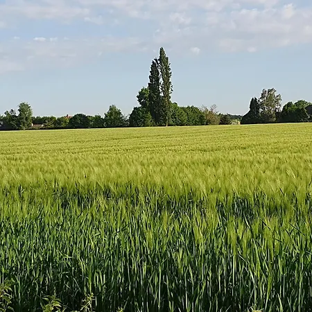 Au Fil Des Champs * Bosroumois
