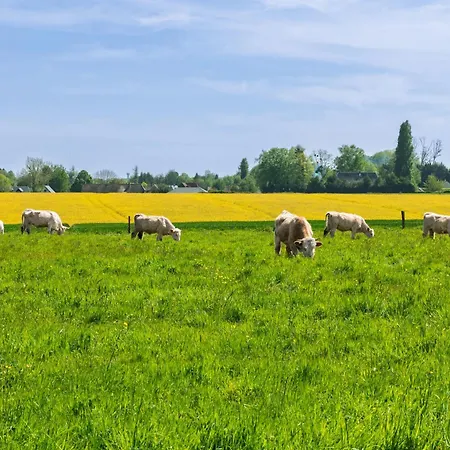 Au Fil Des Champs * Bosroumois